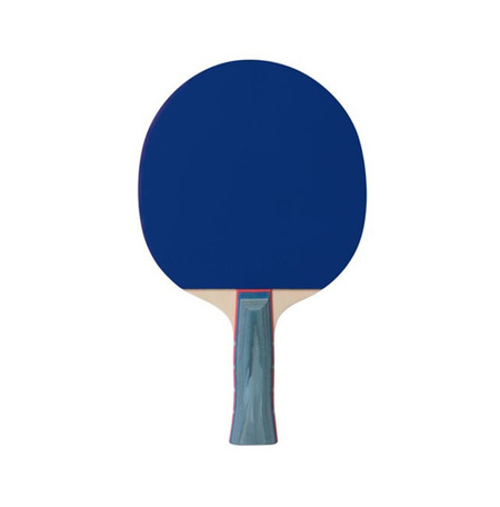 Asztalitenisz ütő edzés
