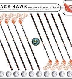 MPS Black Hawk készlet (10 jégkorong-bot + 10 goly